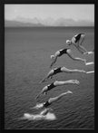Wall art The beauty of diving