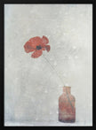 Art mural : Papaver somnifere (Mughetto)
