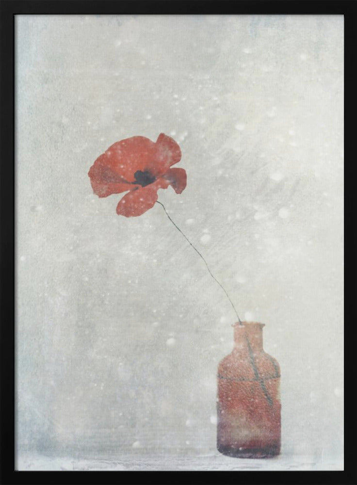 Art mural : Papaver somnifere (Mughetto)