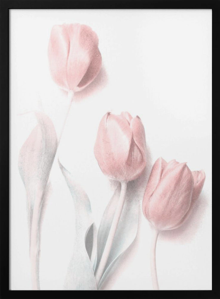 Sweet Pink Flower