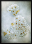Décoration murale : Fleurs de cerisier