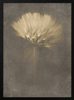 Wall Art Mysterious Days