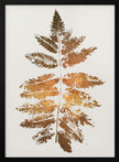 Wall art Oak Leaf Print (gold)