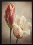 Fleurs Vintage 3