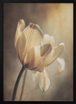 Art mural Tulipe Pastel