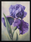 Wall art Iris Fl 110