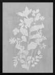 Wall art Botanical Illustration 2