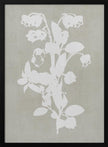 Wall art Botanical Illustration 4