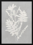 Wall art Botanical Illustration 5