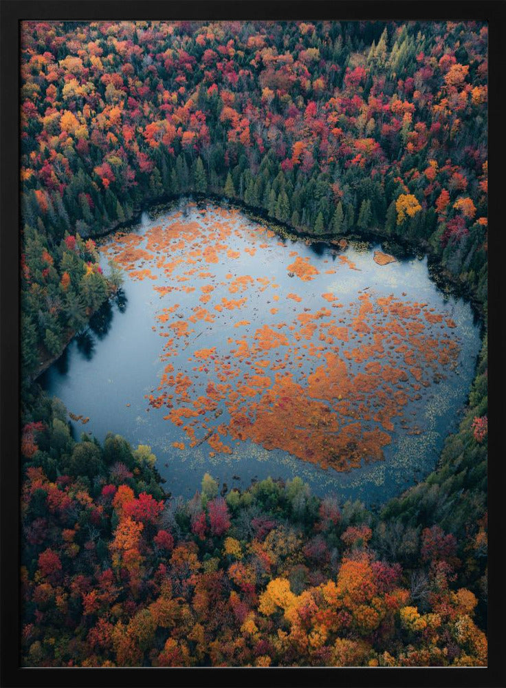 Art mural Automne au bord du lac