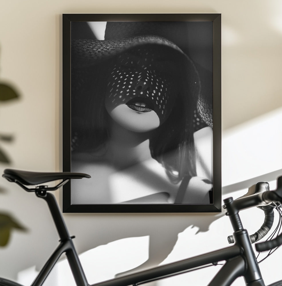 Art mural Shadowed Elegance