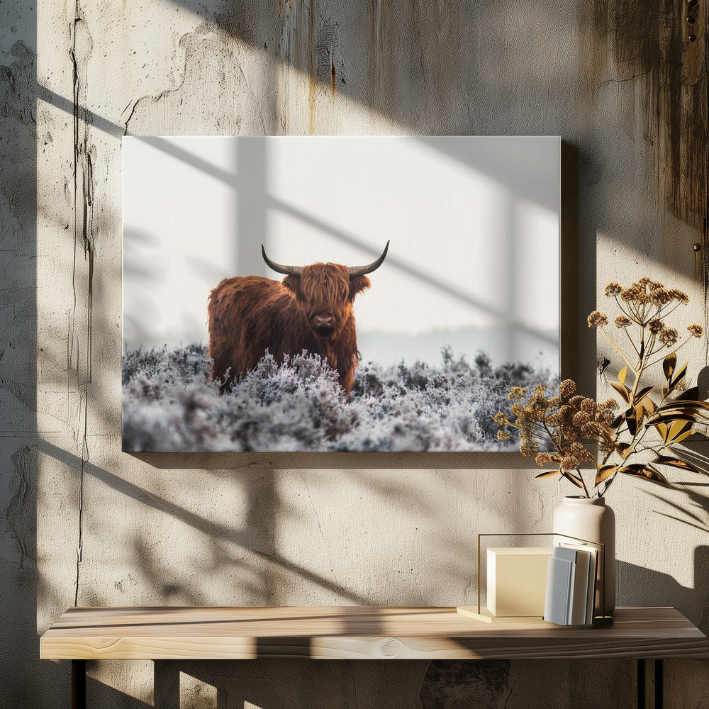 Wall Art Highlander
