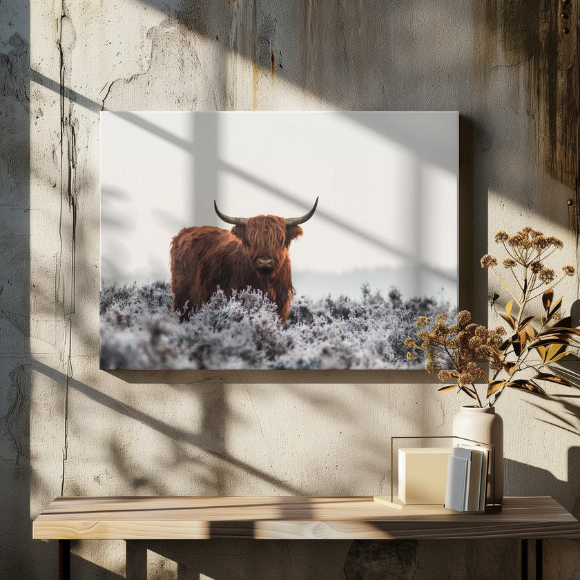 Wall Art Highlander