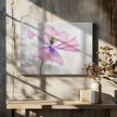 Pastel poppy