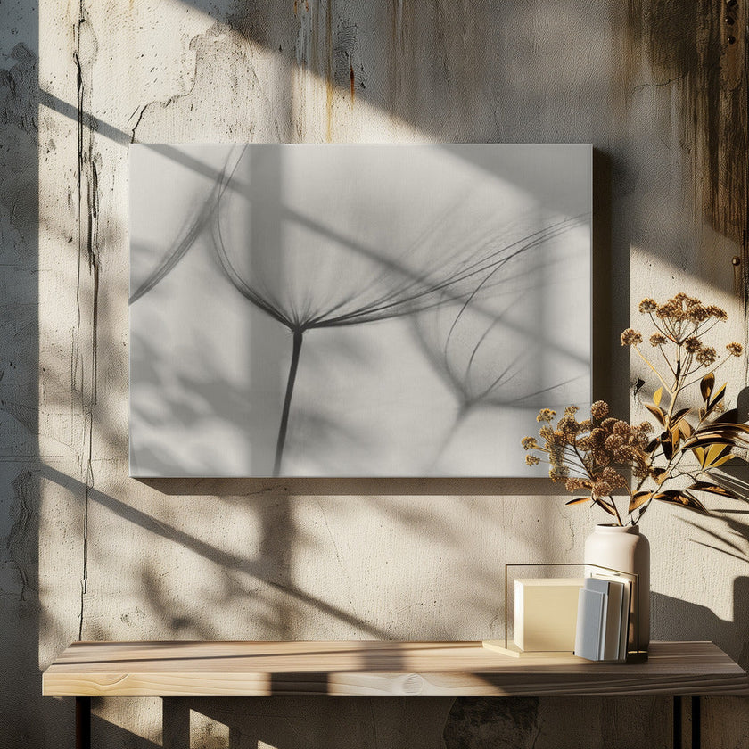 Wall art Tragopogon
