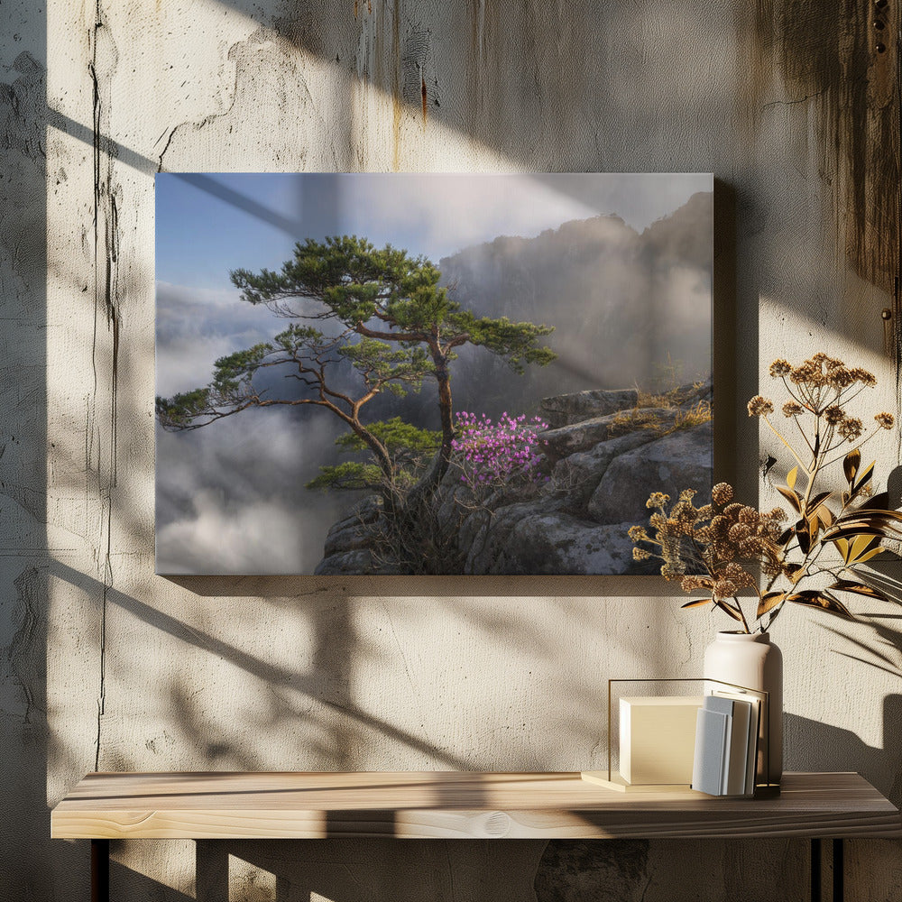 Impression sur toile 