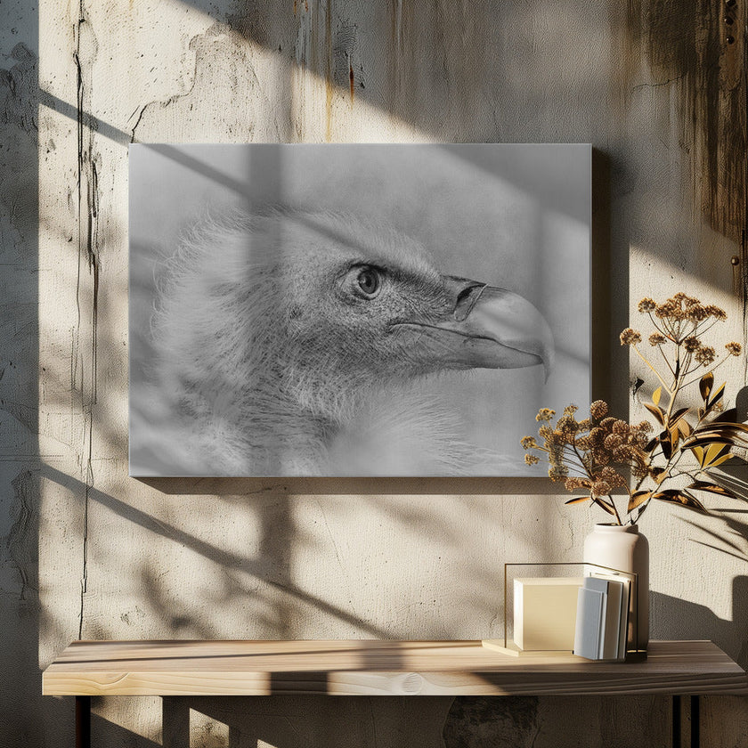 Wall art Bald eagle