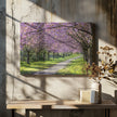 Art mural : allée idyllique de cerisiers en fleurs