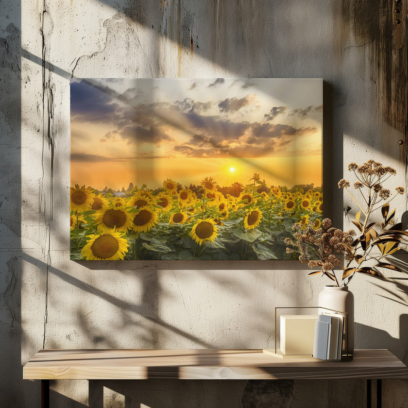 Art mural Champ de tournesols au coucher du soleil | Vue panoramique