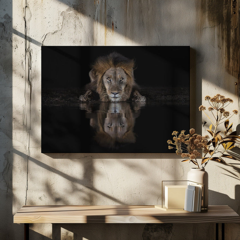 Art mural : Un lion dans la nuit