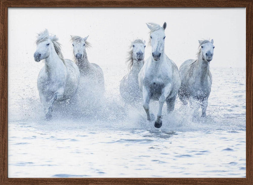 Wall Art Horses on the Run