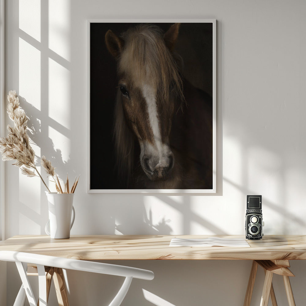 Wall art Sapience