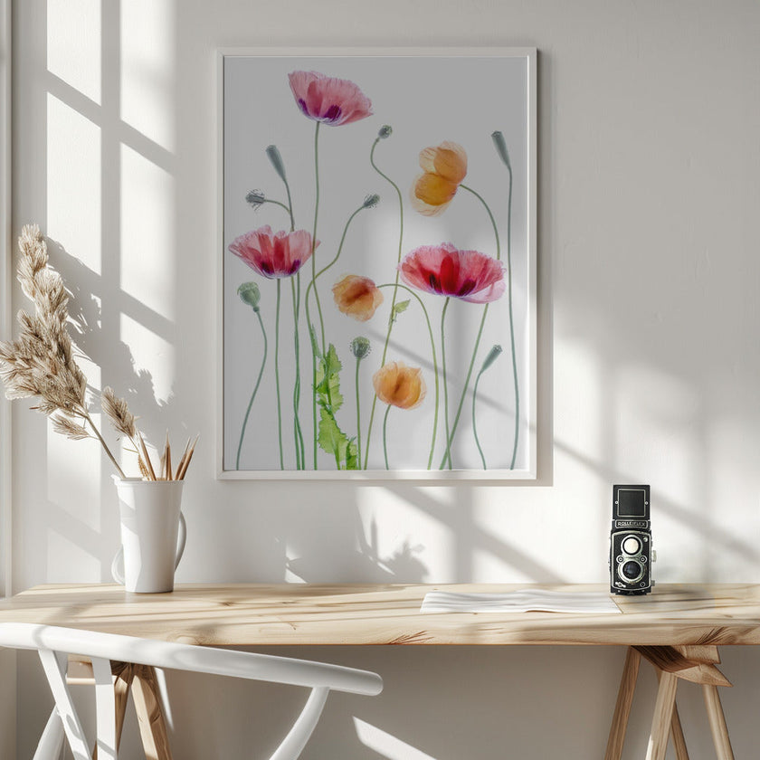 Wall art Poppies1