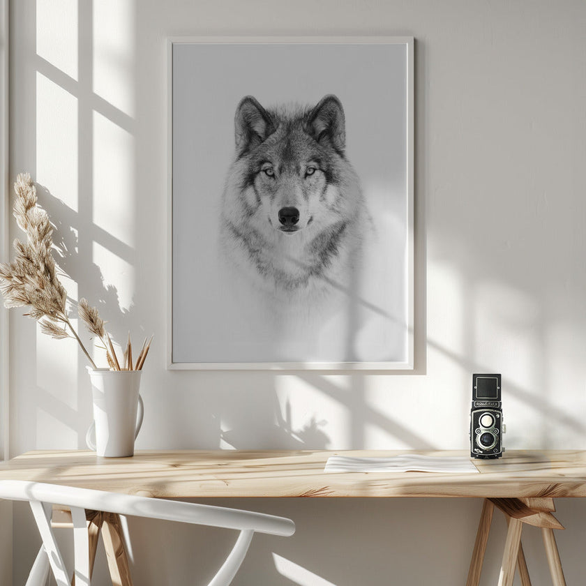 Portrait d'un loup des bois