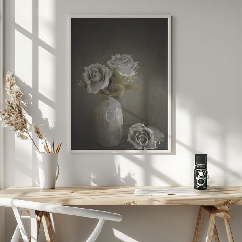 Wall Art Softened