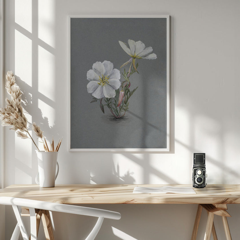 Wall Art Giant Helleborine (1880)