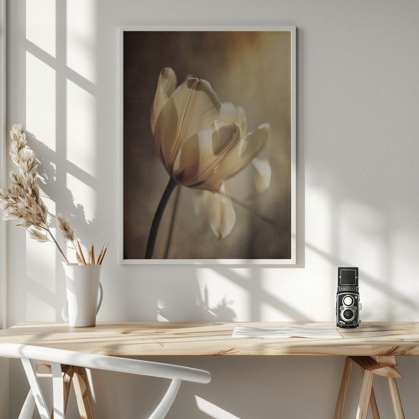 Art mural Tulipe Pastel
