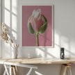 Art mural Tulipe rose