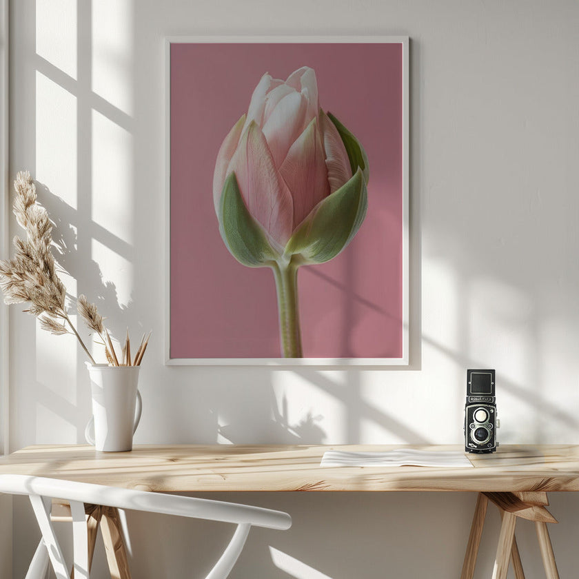 Art mural Tulipe rose
