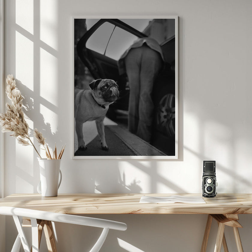 Wall art Sans titre