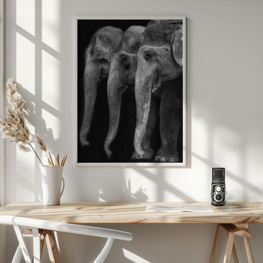 Art mural : Le chef-d'œuvre de la nature, un éléphant ; la seule grande chose inoffensive...