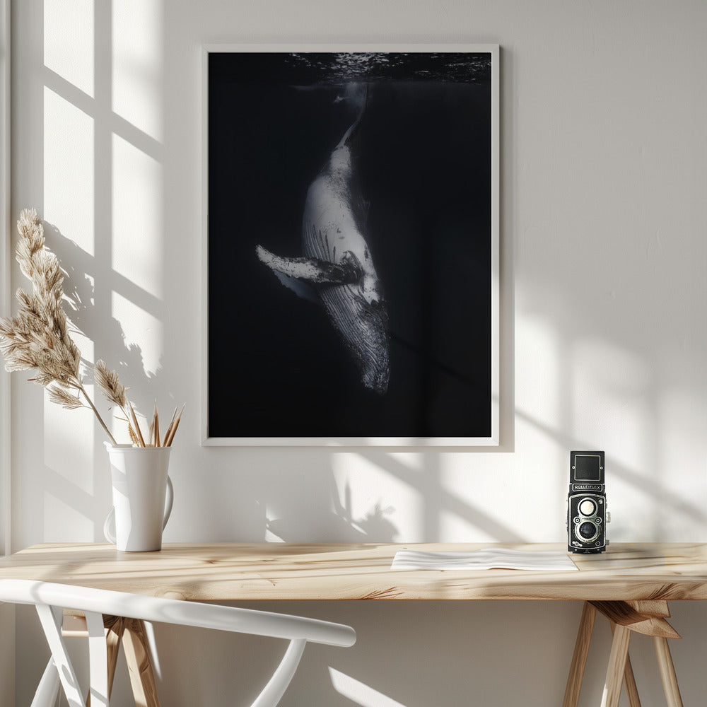 Wall Art - Baleine noire