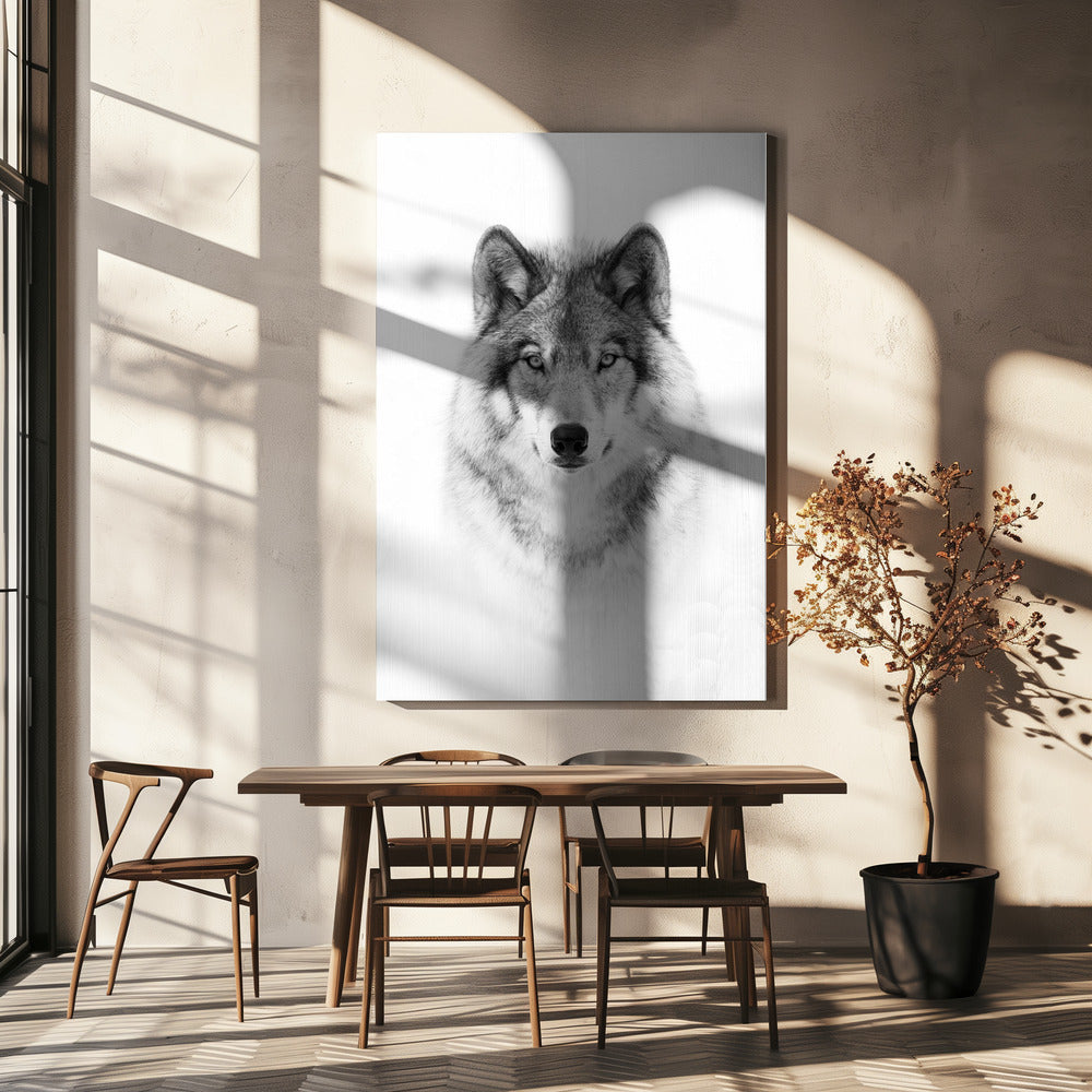 Portrait d'un loup des bois
