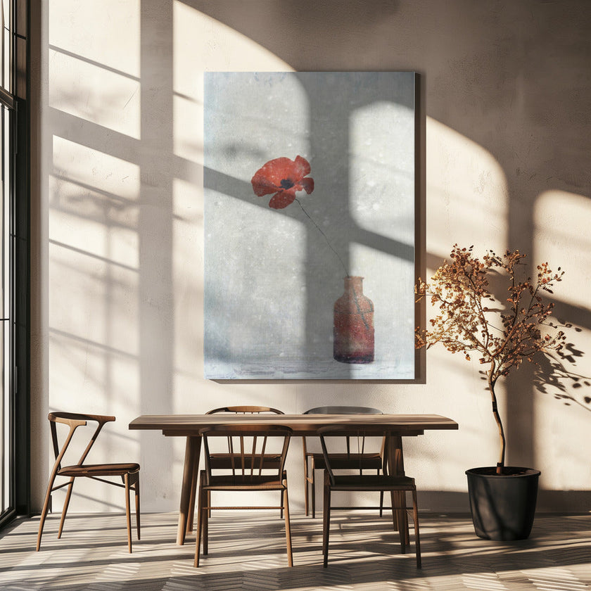 Art mural : Papaver somnifere (Mughetto)