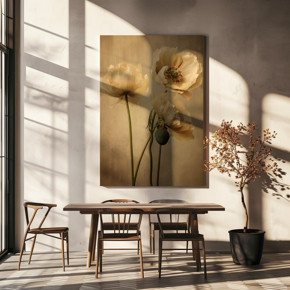 Wall Art Poppies 24