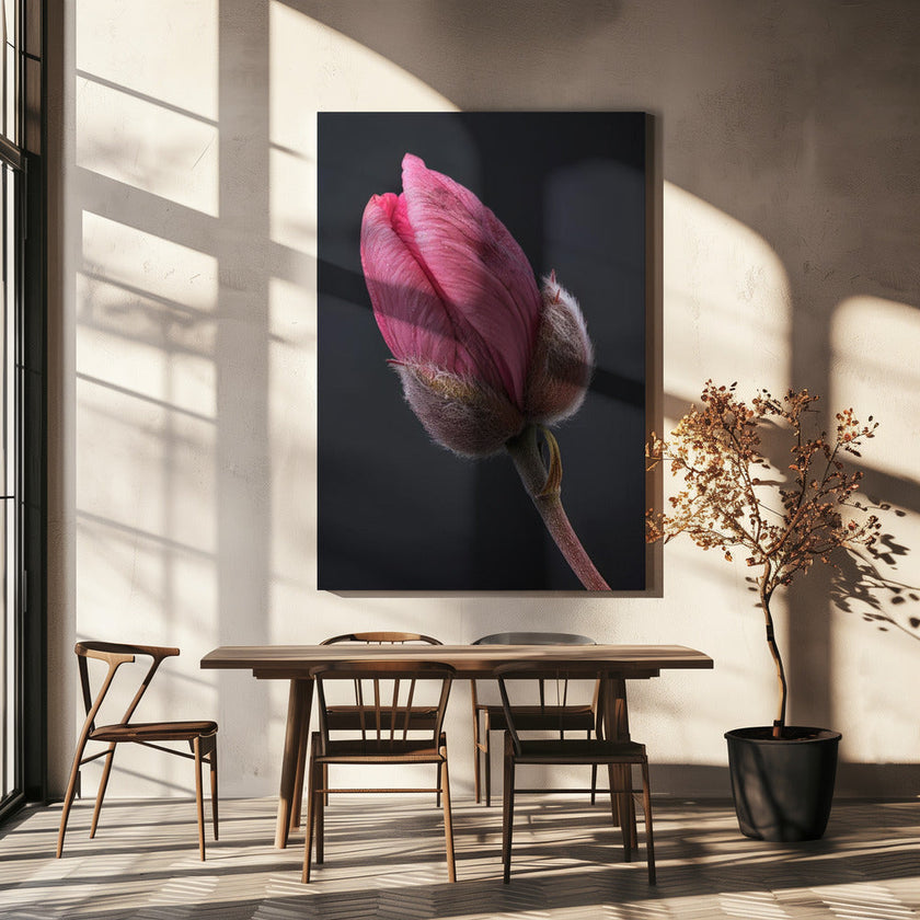 Wall art Tulipe Rose 1