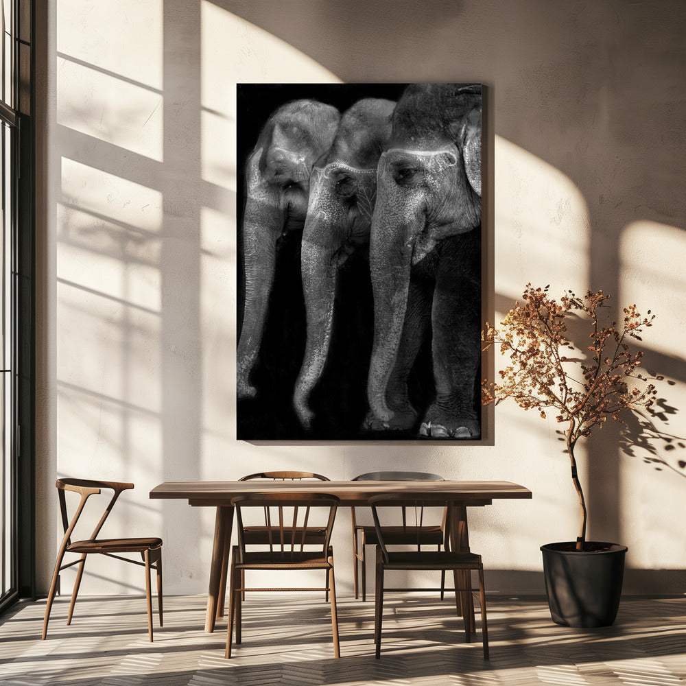Art mural : Le chef-d'œuvre de la nature, un éléphant ; la seule grande chose inoffensive...