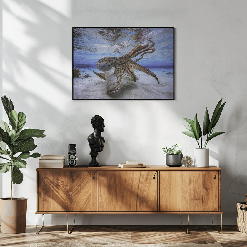 Wall Art Dancing Octopus