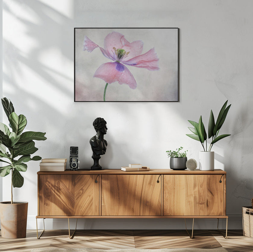 Pastel poppy