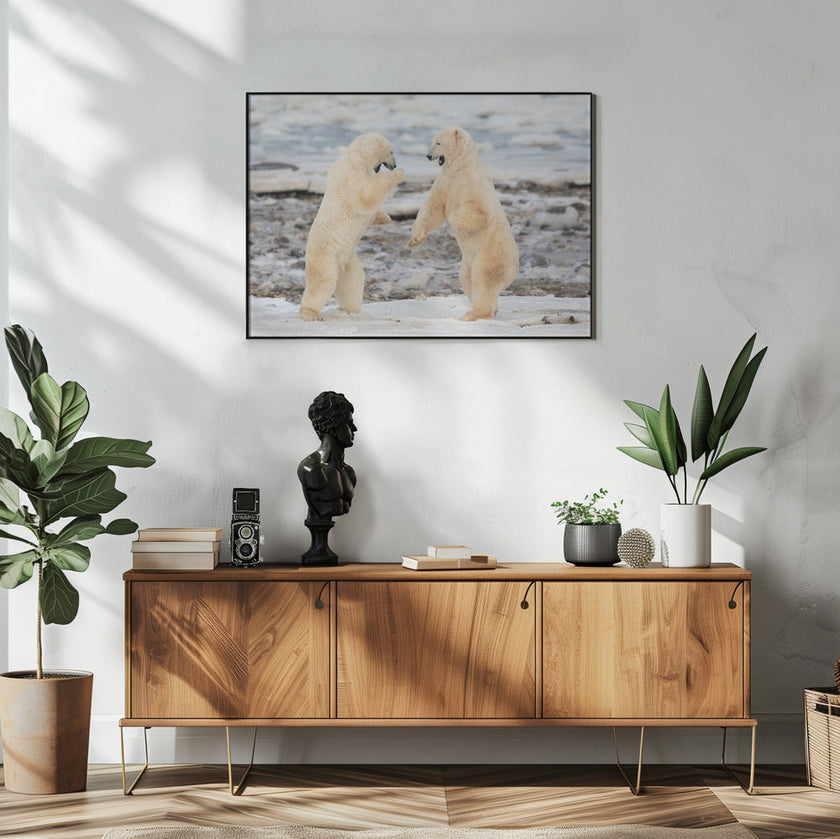 Wall art Fight !