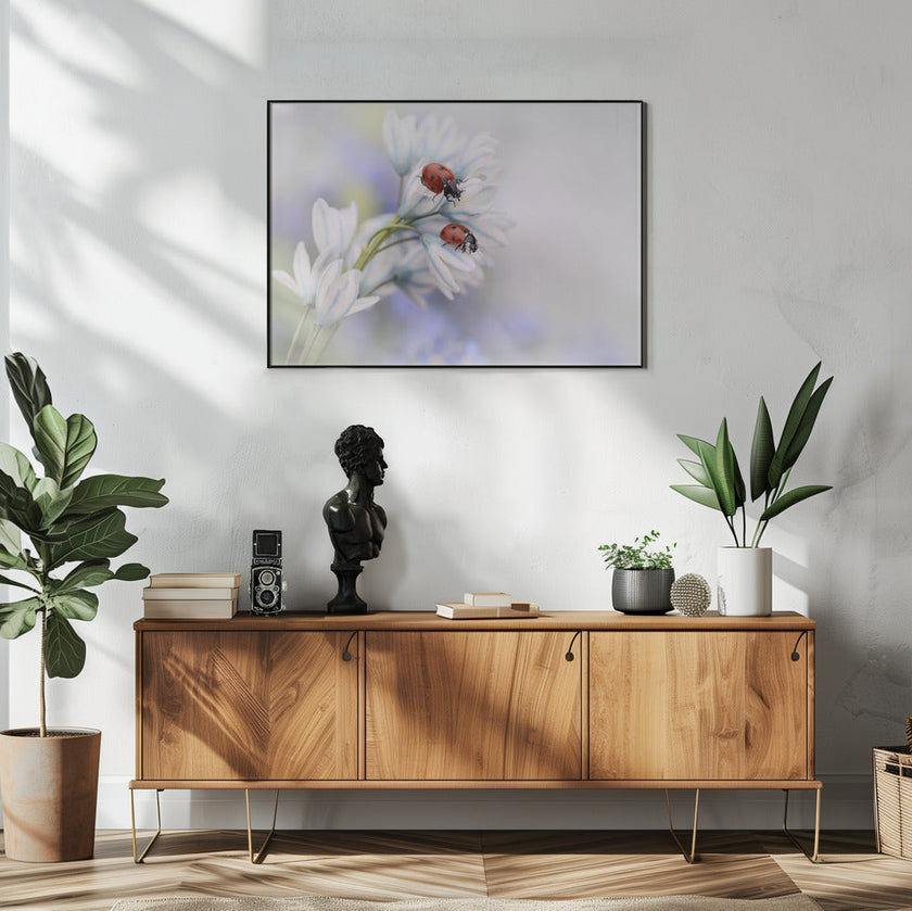 Wall art Ladybirds