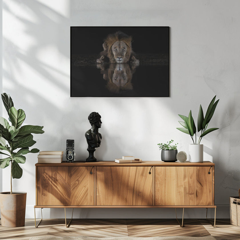 Art mural : Un lion dans la nuit