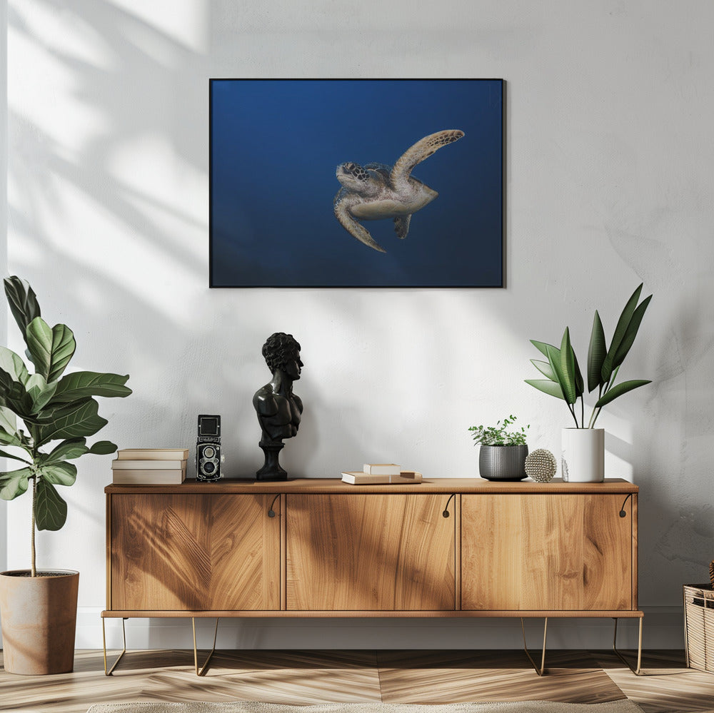 Wall art Green Turtle