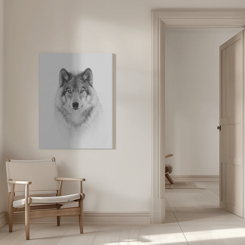 Portrait d'un loup des bois