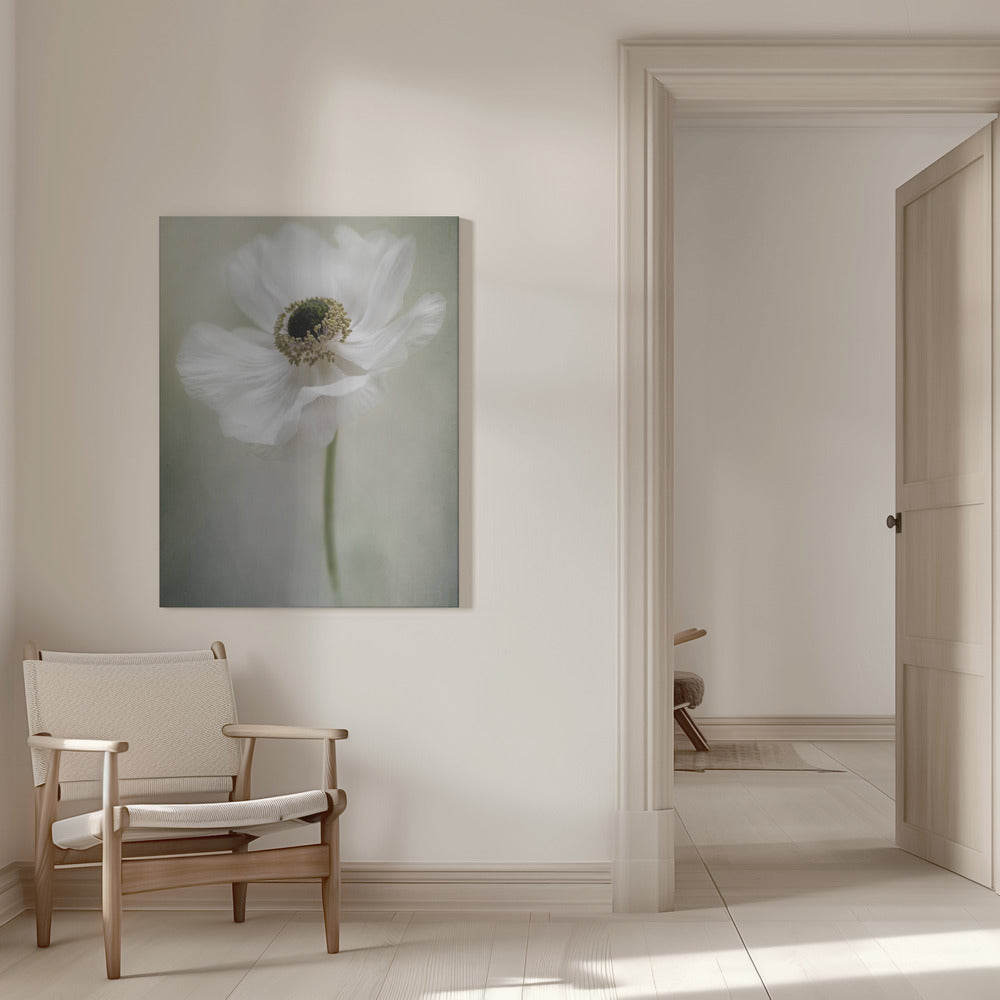 Blanc simple