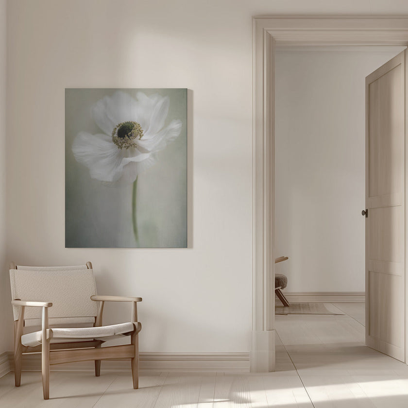 Blanc simple